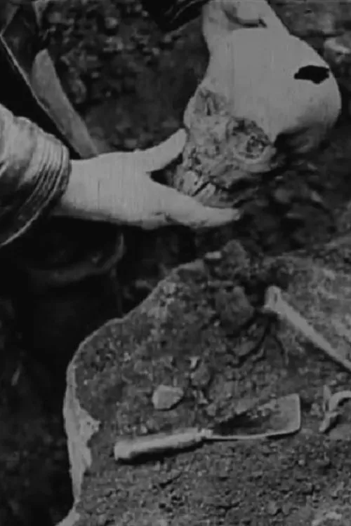 Czar Nicholas II of Russia interpreta a Himself (archive footage) en Histoire du soldat inconnu