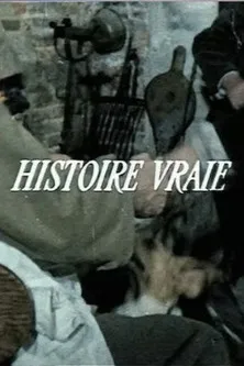 Póster de la película Histoire vraie