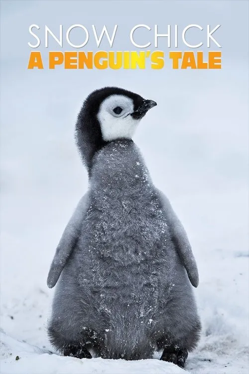 Póster de la película Historia de un pingüino