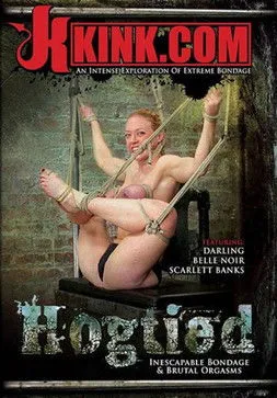 Póster de la película Hogtied