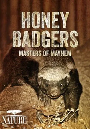 Toby Jones interpreta a Narrator en Honey Badgers: Masters of Mayhem