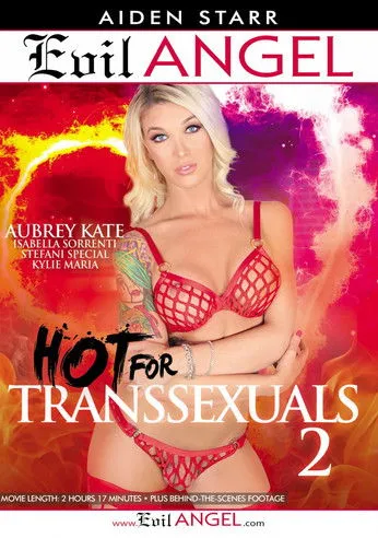 Póster de Hot for Transsexuals 2