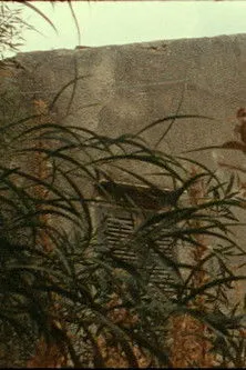 Portada de House of the Wickedest Man in the World