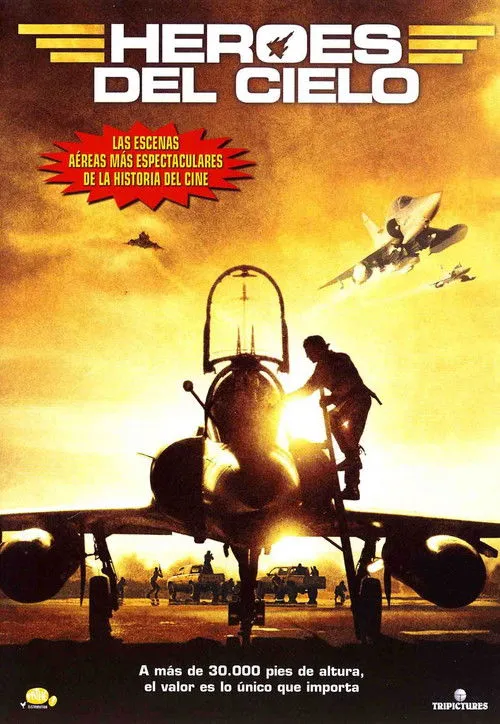 Póster de Héroes del cielo