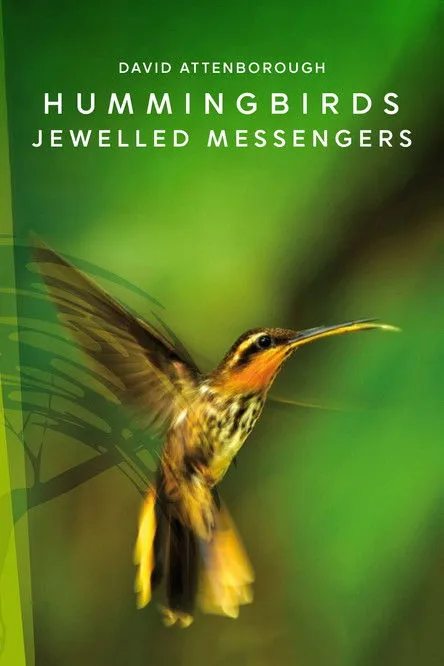 Póster de la película Hummingbirds: Jewelled Messengers