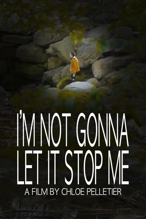 Póster de I'm Not Gonna Let It Stop Me