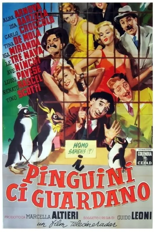 Póster de la película I pinguini ci guardano