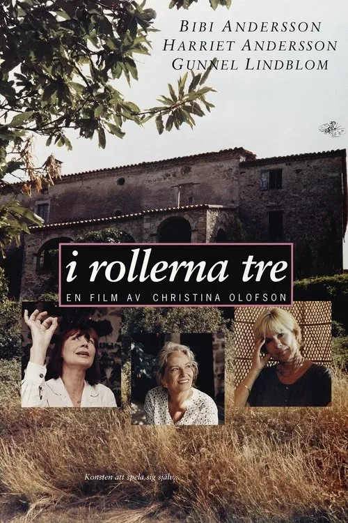 Póster de I rollerna tre