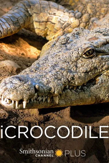 Gregory Erickson interpreta a en iCrocodile