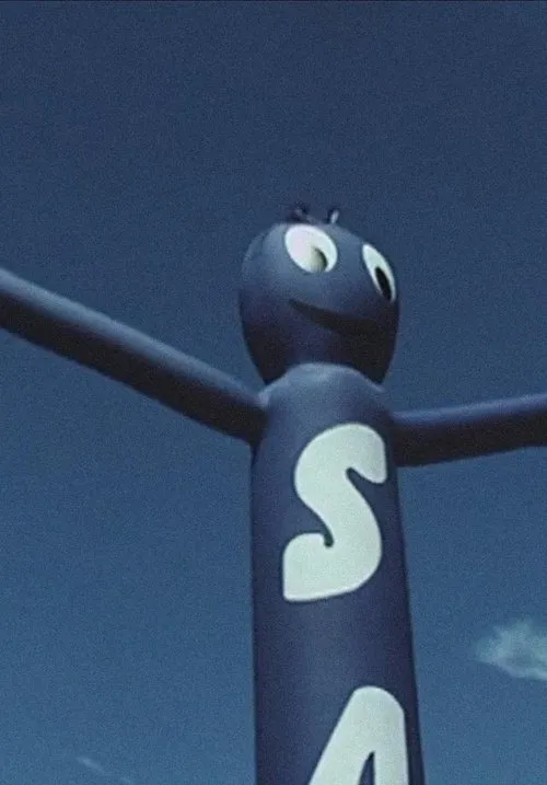 Kate Dollenmayer interpreta a herself en If You Can't See My Mirrors, I Can't See You