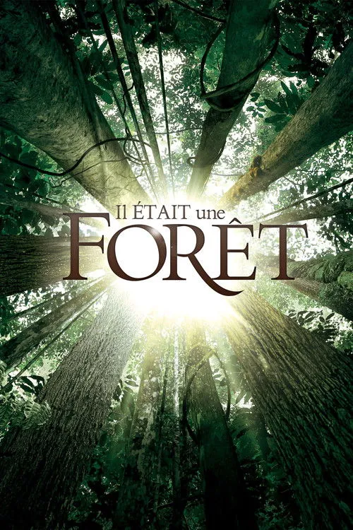 Póster de Il était une forêt