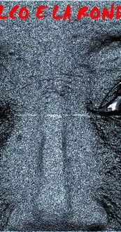 Póster de Il falco e la rondine