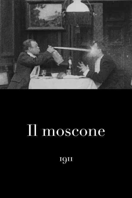 Ernesto Vaser interpreta a en Il moscone