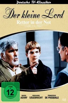 Póster de Il ritorno del piccolo Lord