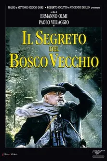 Póster de la película Il segreto del bosco vecchio