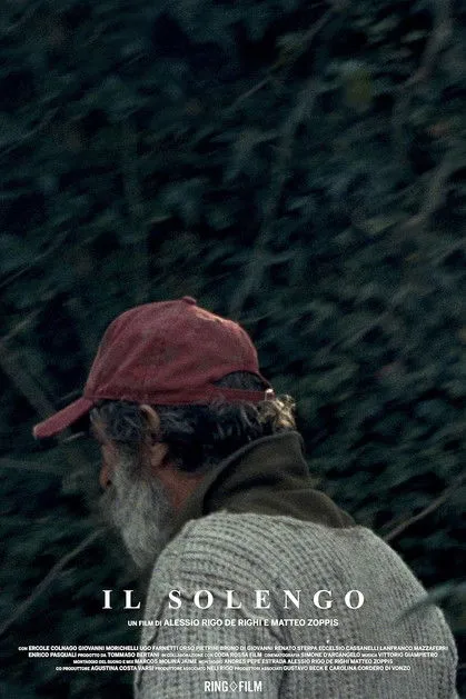 Póster de Il solengo