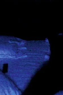 Steve McQueen interpreta a en Illuminer