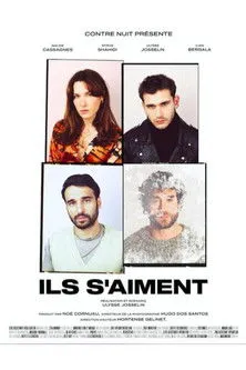 Póster de Ils s'aiment !