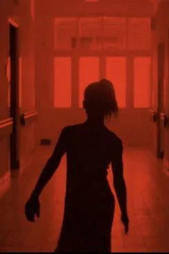 Póster de Im Haus der alten Augustin