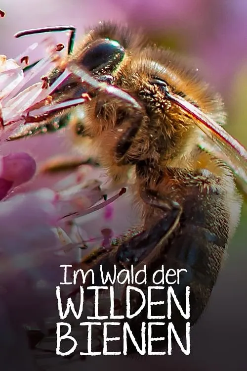 Sebastian Winkler interpreta a Narrator en Im Wald der wilden Bienen
