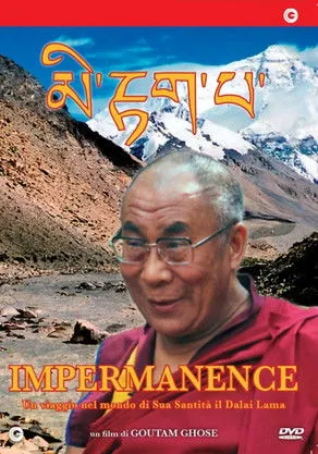 Póster de Impermanence