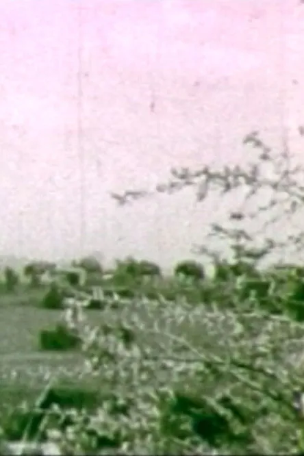 Alberto Astorri interpreta a Narrator en Impressioni a distanza