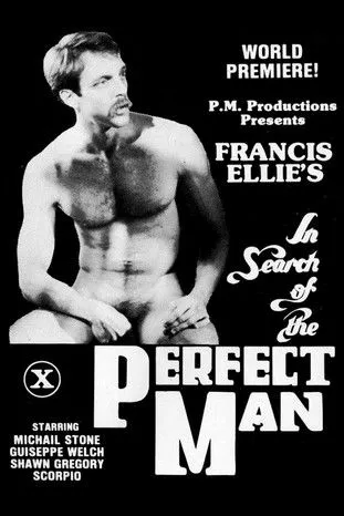 Póster de la película In Search of the Perfect Man