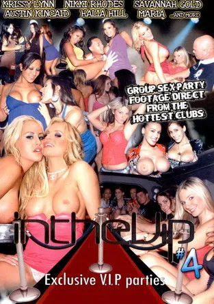 Póster de In the VIP 4