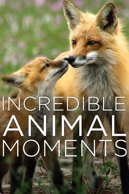 Allen Farmer interpreta a en Incredible Animal Moments