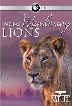 Póster de la película India's Wandering Lions