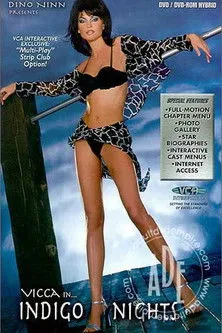 Póster de Indigo Nights