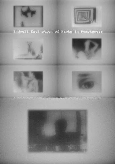 Póster de Indwell Extinction of Hawks in Remoteness