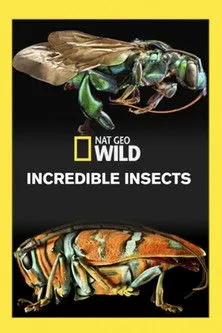 Póster de la película Insectos increíbles