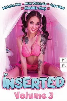 Póster de Inserted 3