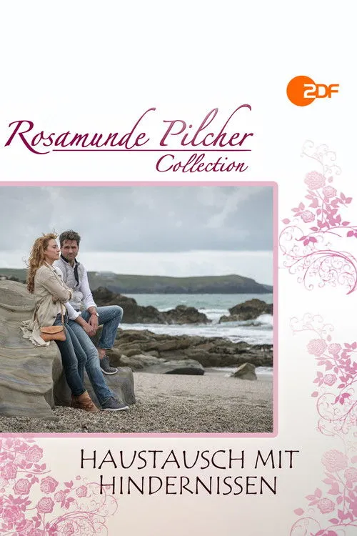 Póster de Intercambio accidentado