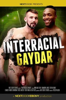 Póster de Interracial Gaydar