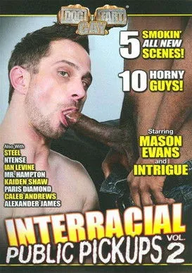 Póster de la película Interracial Public Pickups 2