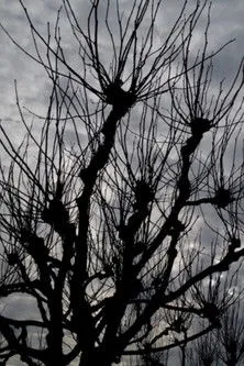 Jerome Hiler interpreta a  en Intimations