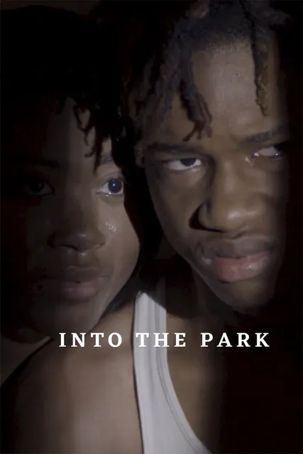 Póster de Into the Park