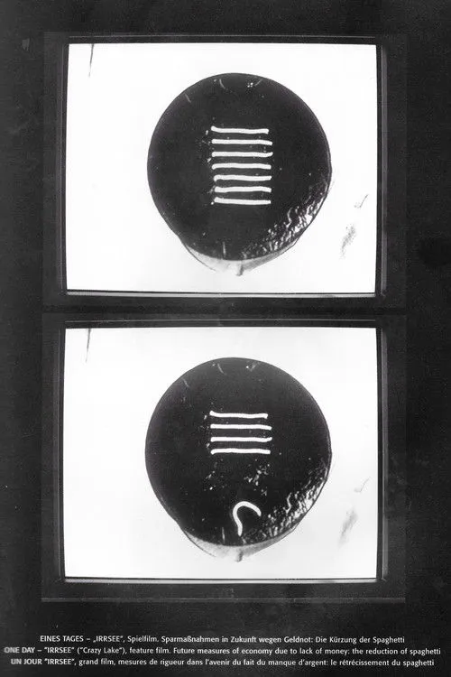 Póster de la película Irrsee