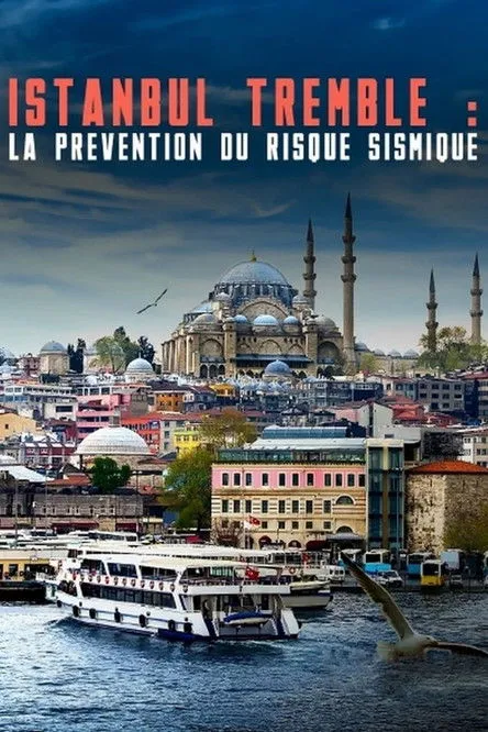 Portada de Istanbul tremble : La prévention du risque sismique