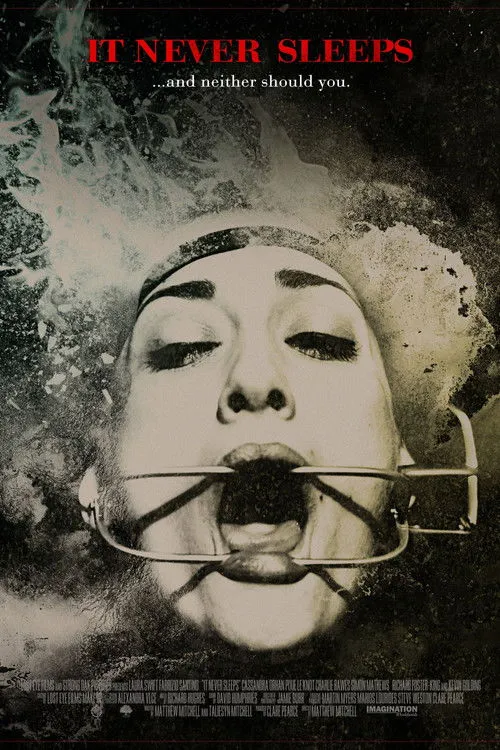 Póster de It Never Sleeps