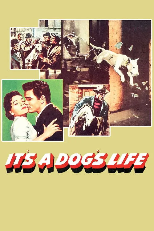 Jeff Richards interpreta a Patch McGill en It's a Dog's Life
