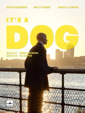 David Rosenberg interpreta a Bald Guy en It's a Dog