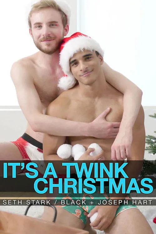 Póster de la película It's a Twink Christmas!