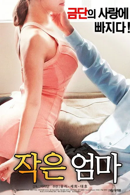 Póster de 작은 엄마