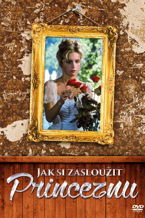 Póster de Jak si zasloužit princeznu