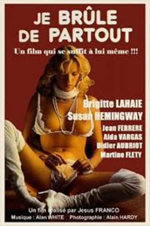 Didier Aubriot interpreta a  en Je brûle de partout