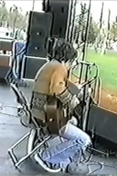 John Frusciante interpreta a Self en John Frusciante Live at the Denison University in Granville, Ohio