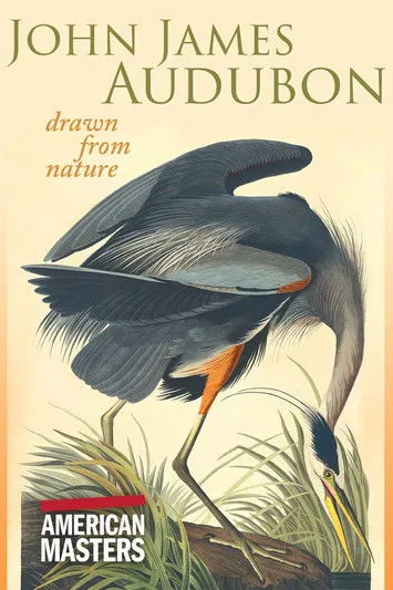 Póster de John James Audubon: Drawn From Nature
